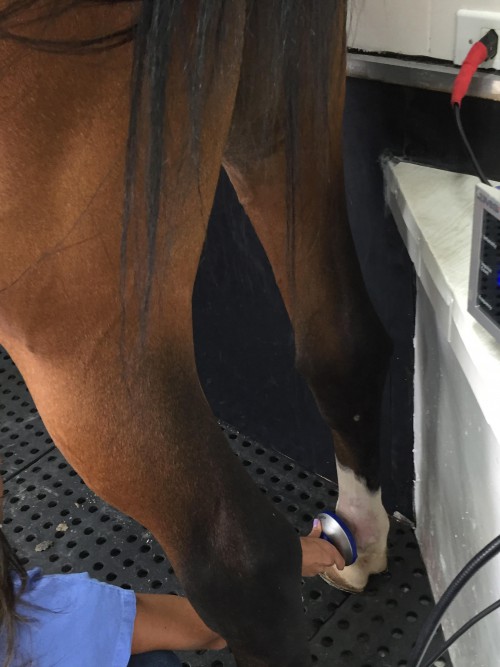 Tratamento de lesão ligamentar.